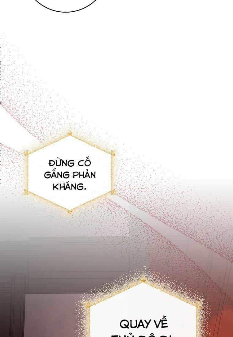 Sóc Nhỏ Tài Năng - Chương 7 - ảnh 56