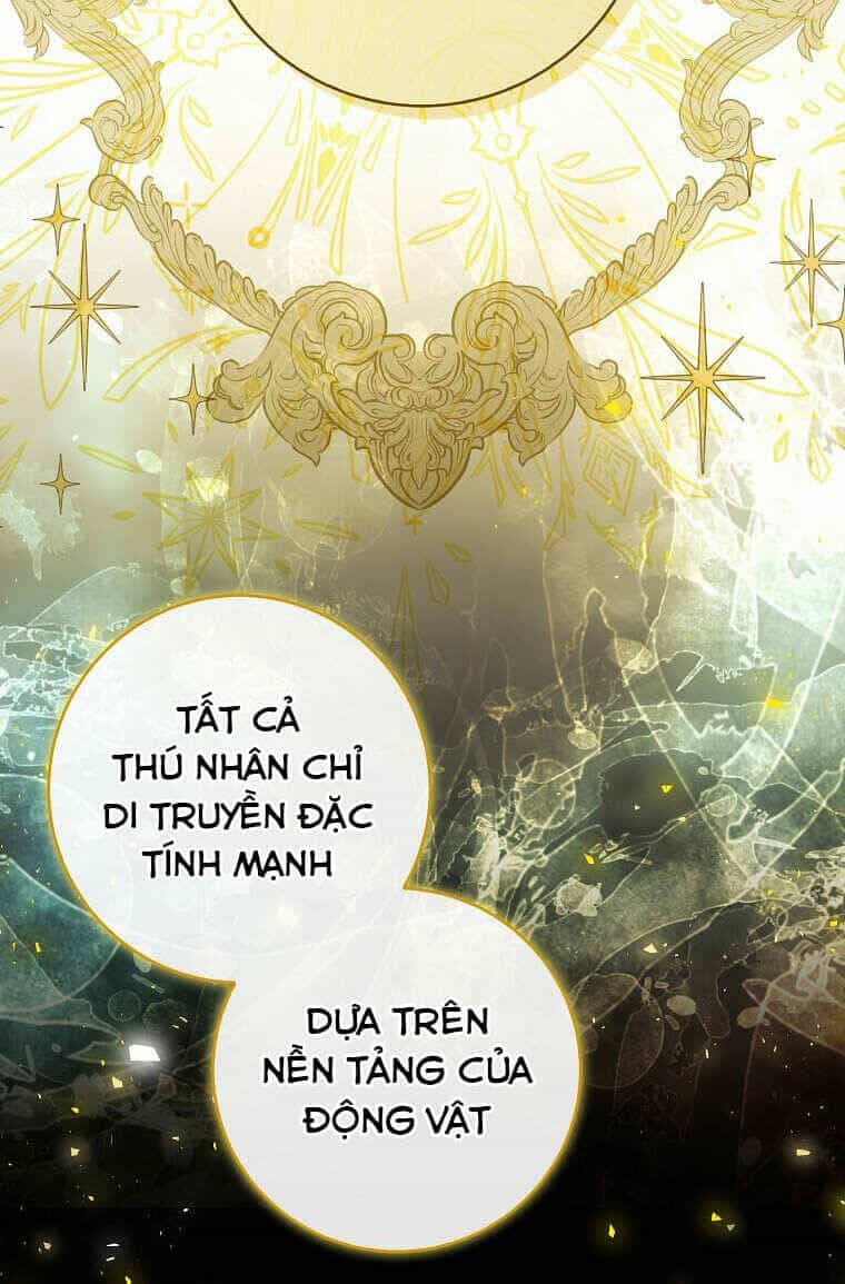 Sóc Nhỏ Tài Năng - Chương 73 - ảnh 68