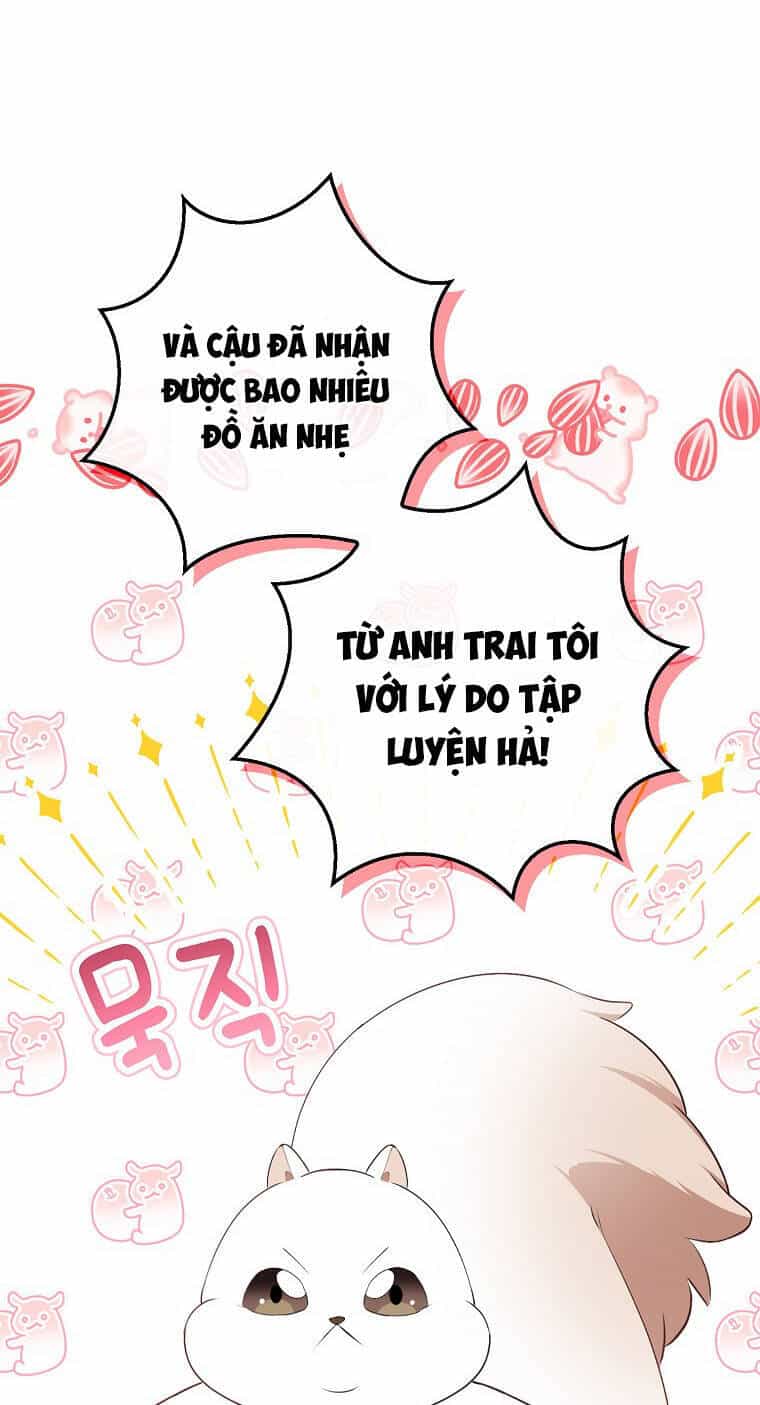 Sóc Nhỏ Tài Năng - Chương 73 - ảnh 88