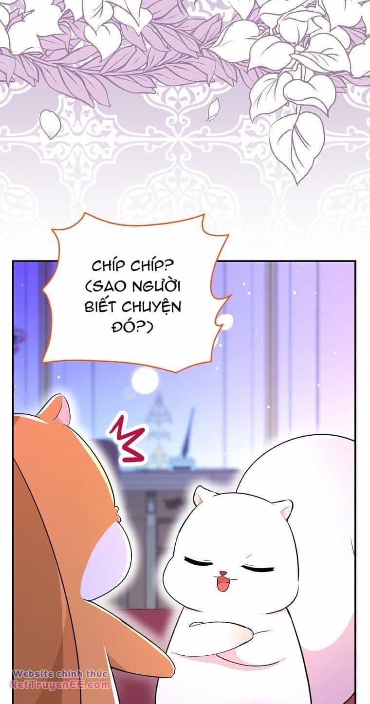 Sóc Nhỏ Tài Năng - Chương 74 - ảnh 26