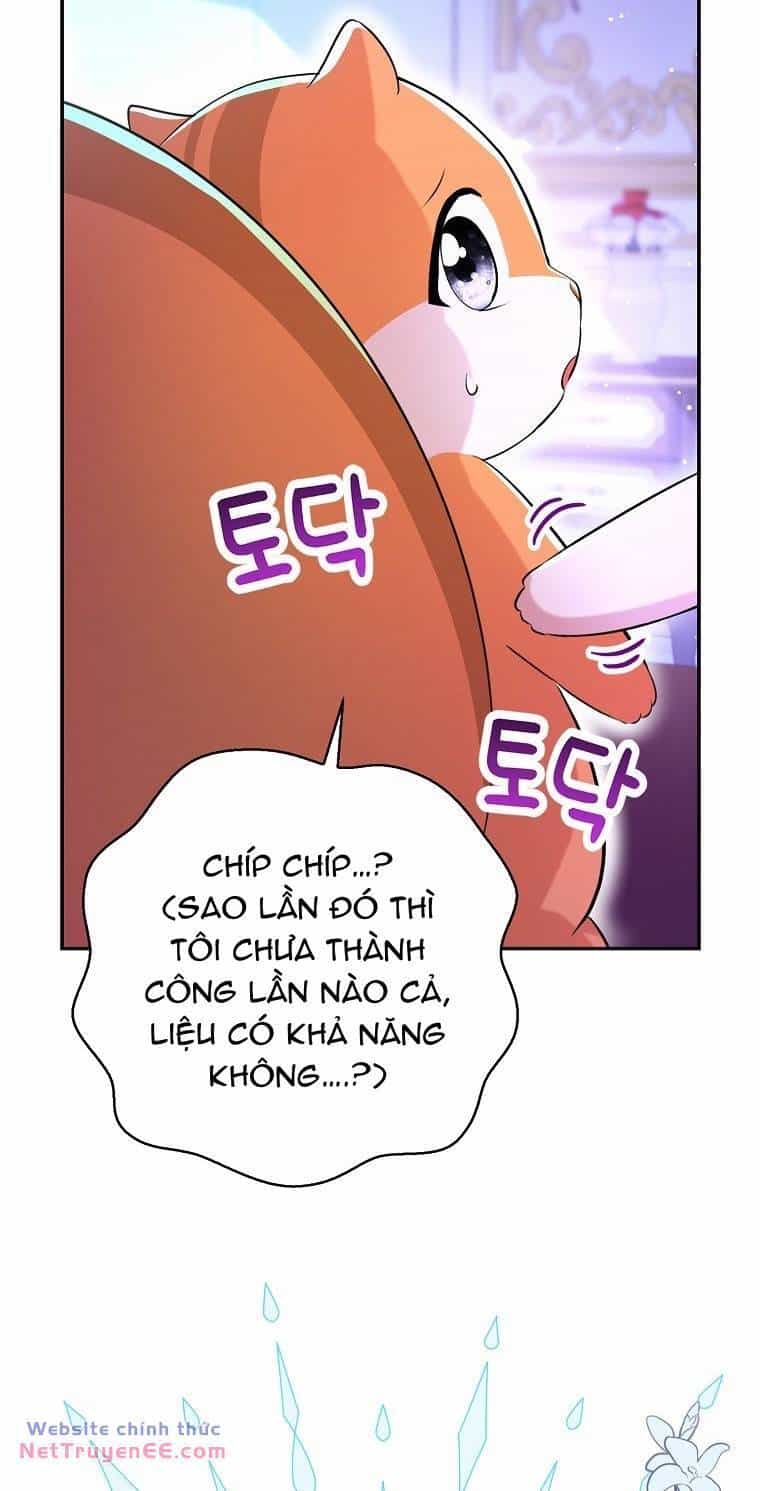 Sóc Nhỏ Tài Năng - Chương 74 - ảnh 30