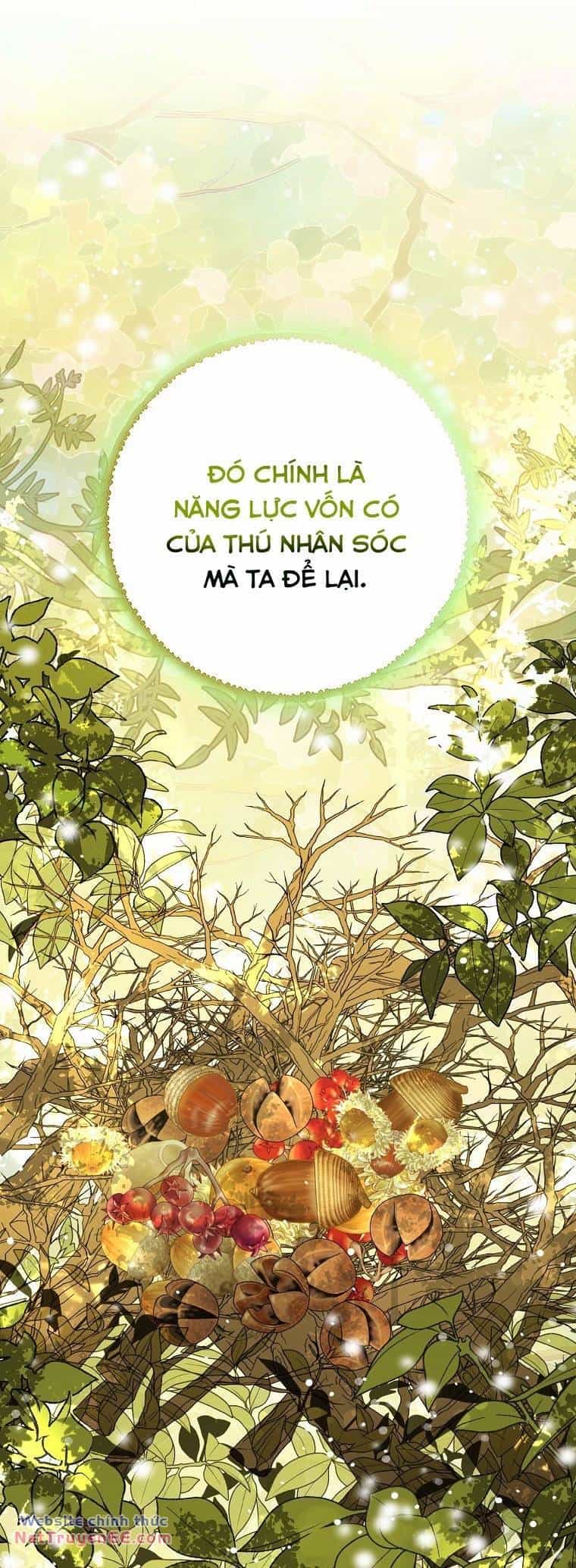 Sóc Nhỏ Tài Năng - Chương 74 - ảnh 42
