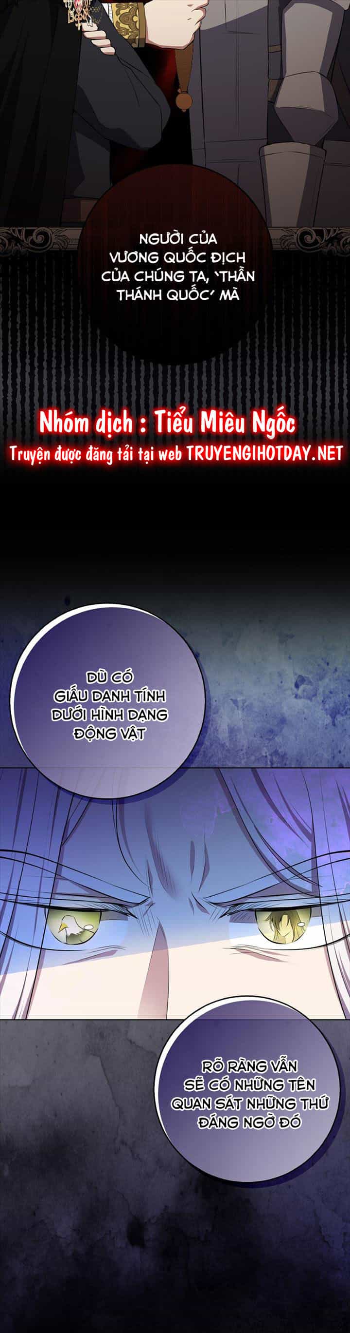 Sóc Nhỏ Tài Năng - Chương 77 - ảnh 10