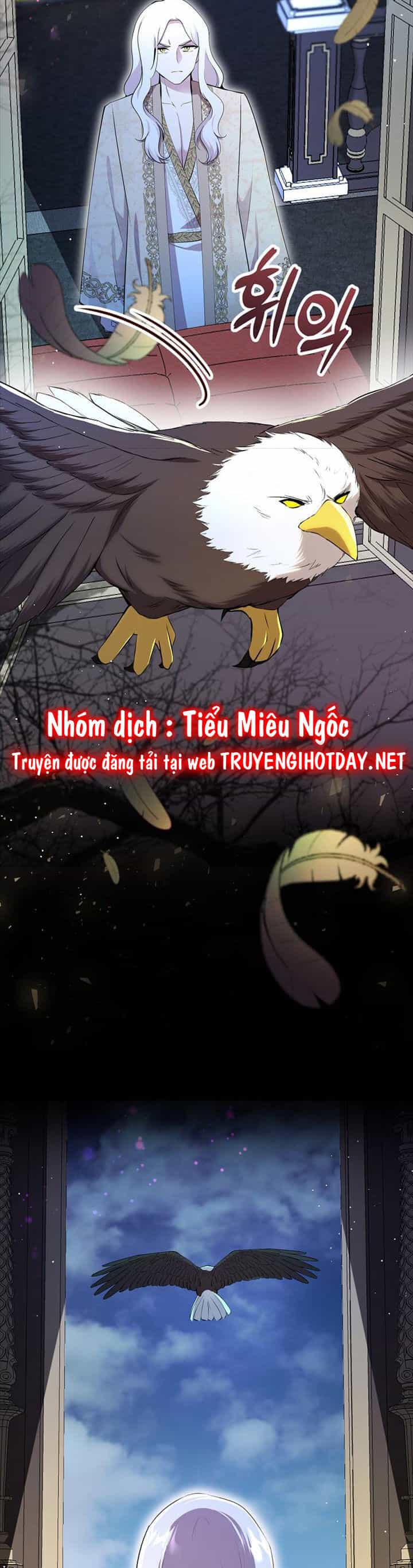 Sóc Nhỏ Tài Năng - Chương 77 - ảnh 12