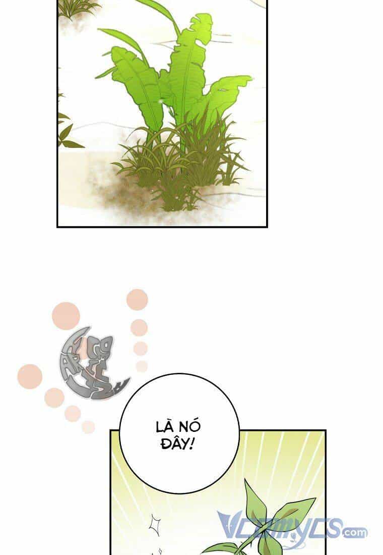 Sóc Nhỏ Tài Năng - Chương 8 - ảnh 83