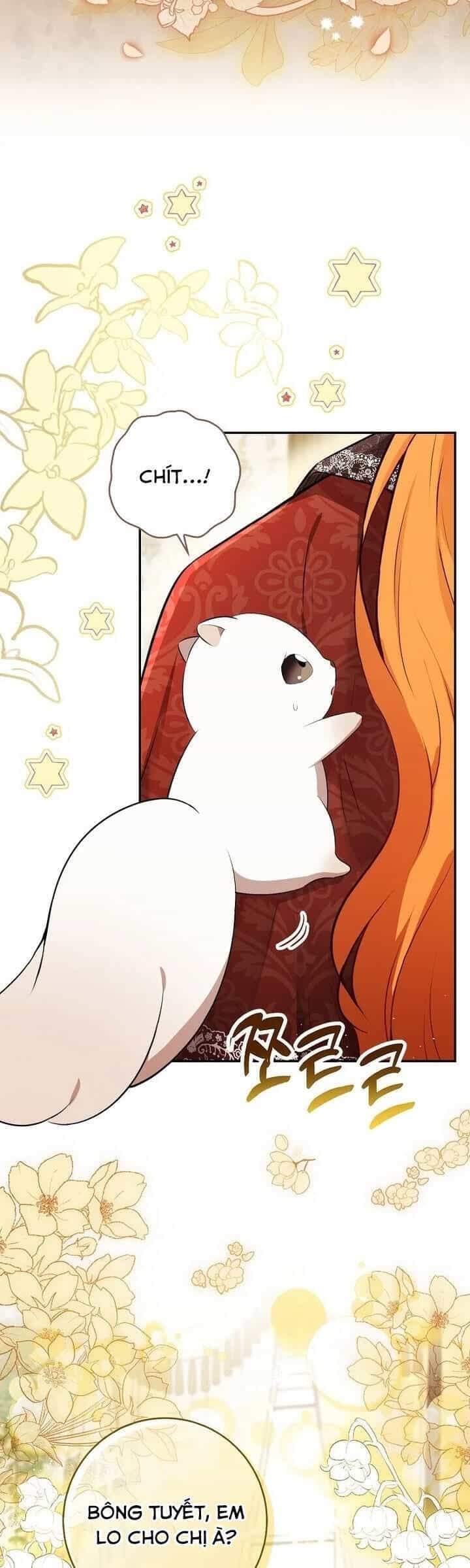 Sóc Nhỏ Tài Năng - Chương 85 - ảnh 43