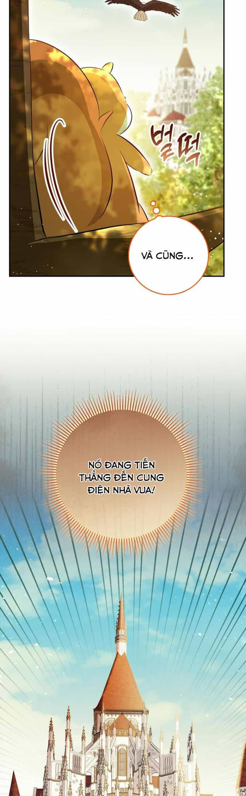 Sóc Nhỏ Tài Năng - Chương 90 - ảnh 33