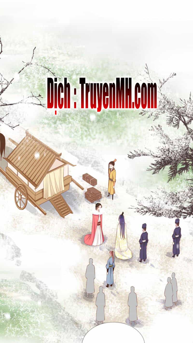 Solo Đi Vương Gia - Chương 105 - ảnh 11