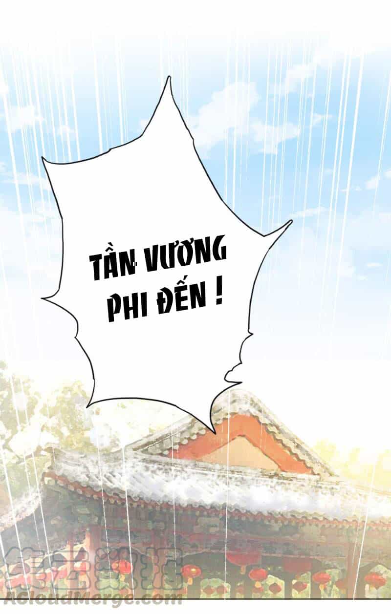 Solo Đi Vương Gia - Chương 107 - ảnh 16