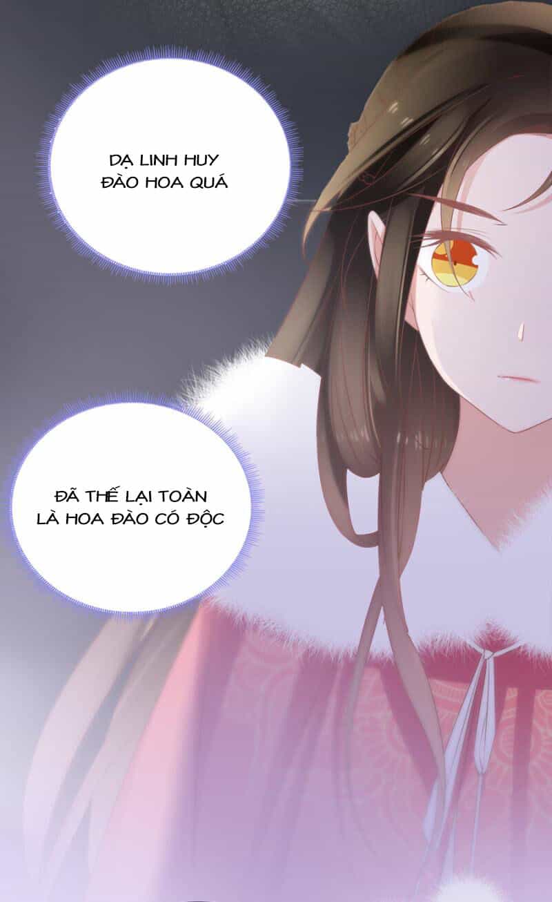 Solo Đi Vương Gia - Chương 107 - ảnh 6