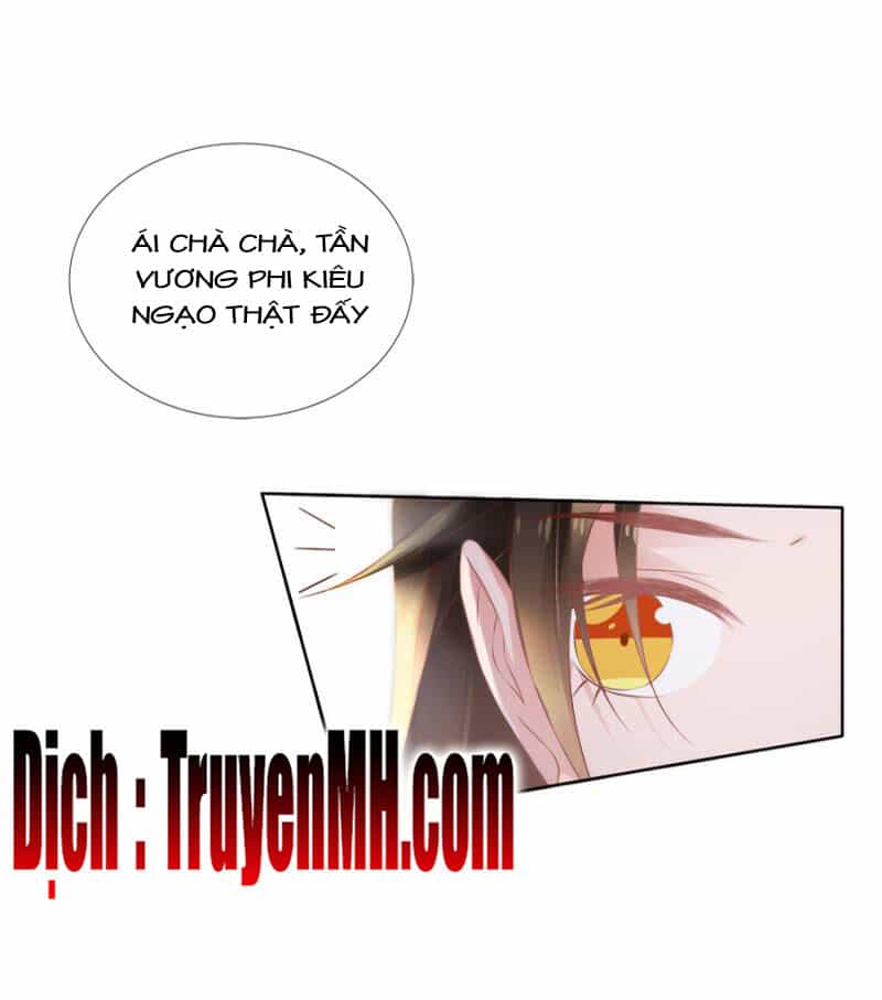 Solo Đi Vương Gia - Chương 108 - ảnh 9