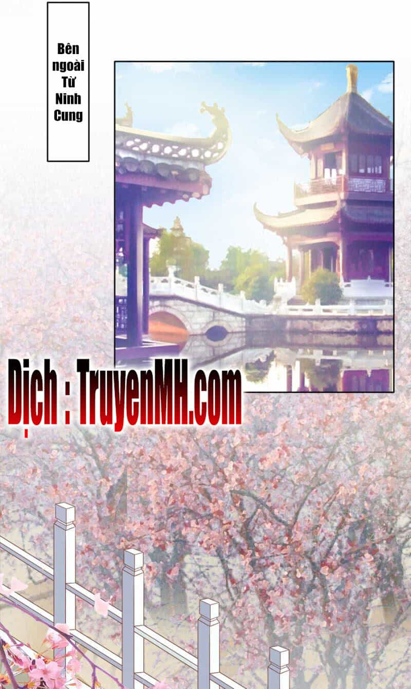 Solo Đi Vương Gia - Chương 114 - ảnh 8
