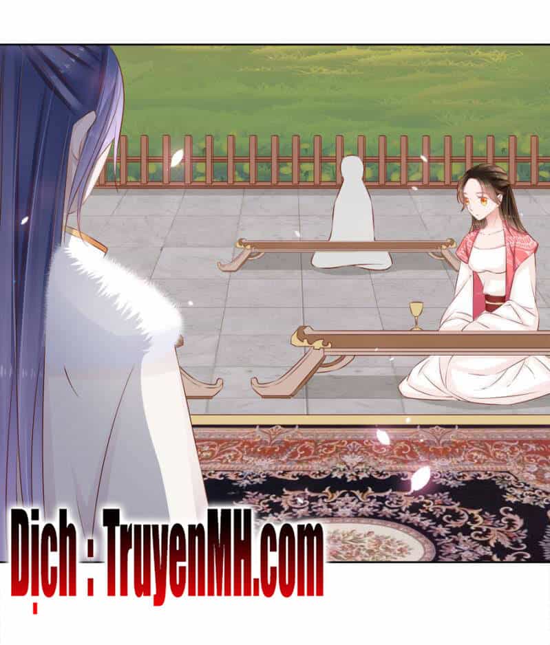 Solo Đi Vương Gia - Chương 126 - ảnh 5