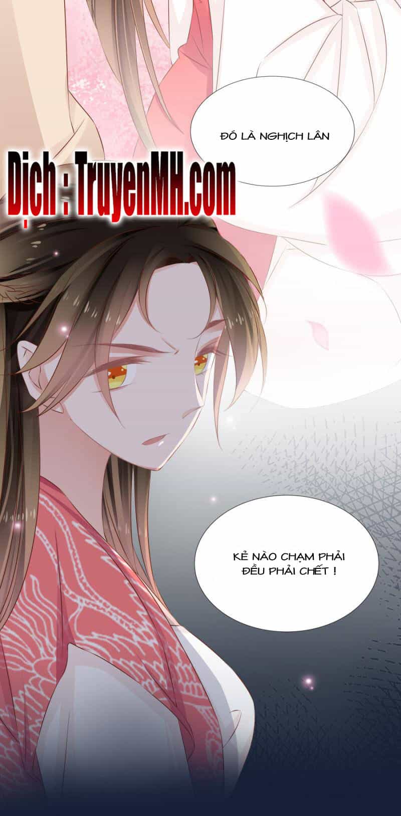 Solo Đi Vương Gia - Chương 127 - ảnh 5