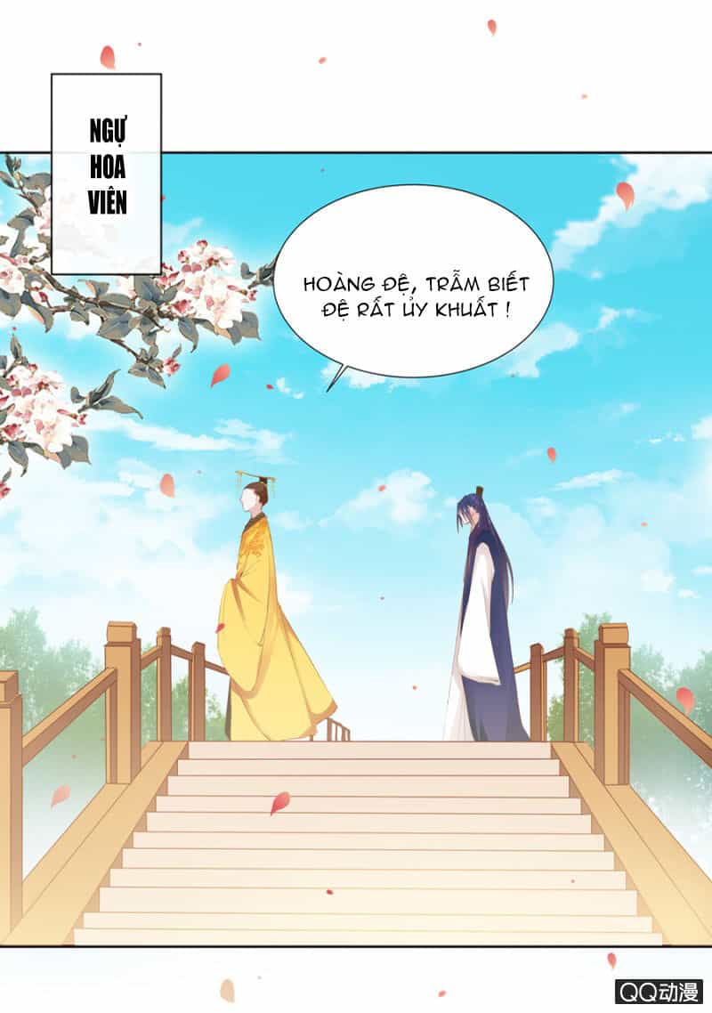 Solo Đi Vương Gia - Chương 13 - ảnh 1