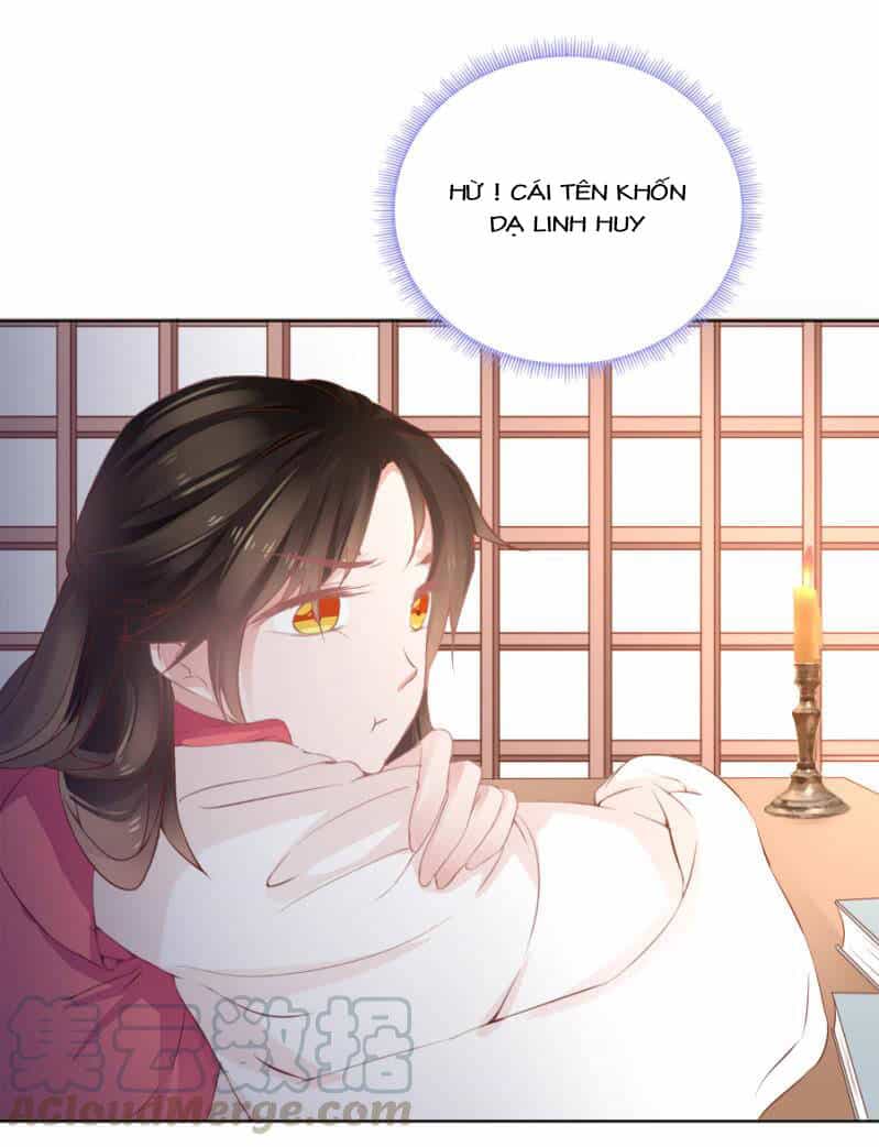 Solo Đi Vương Gia - Chương 130 - ảnh 20