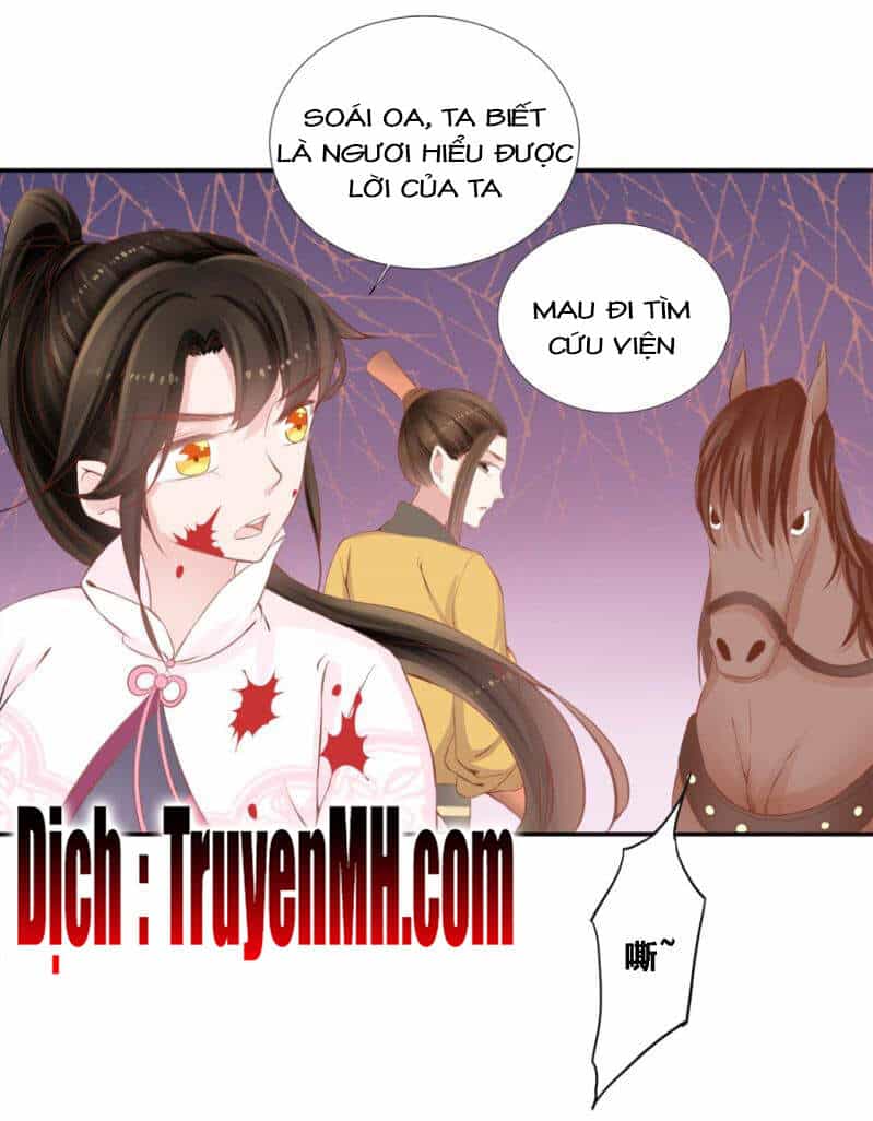 Solo Đi Vương Gia - Chương 138 - ảnh 6