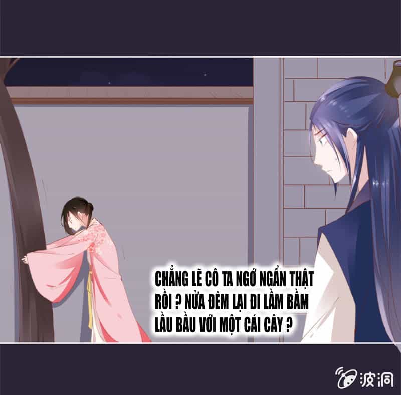 Solo Đi Vương Gia - Chương 23 - ảnh 10