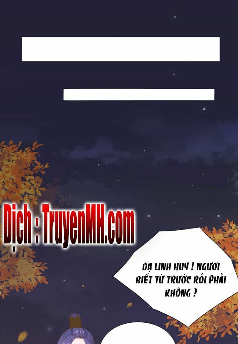 Solo Đi Vương Gia - Chương 26 - ảnh 7