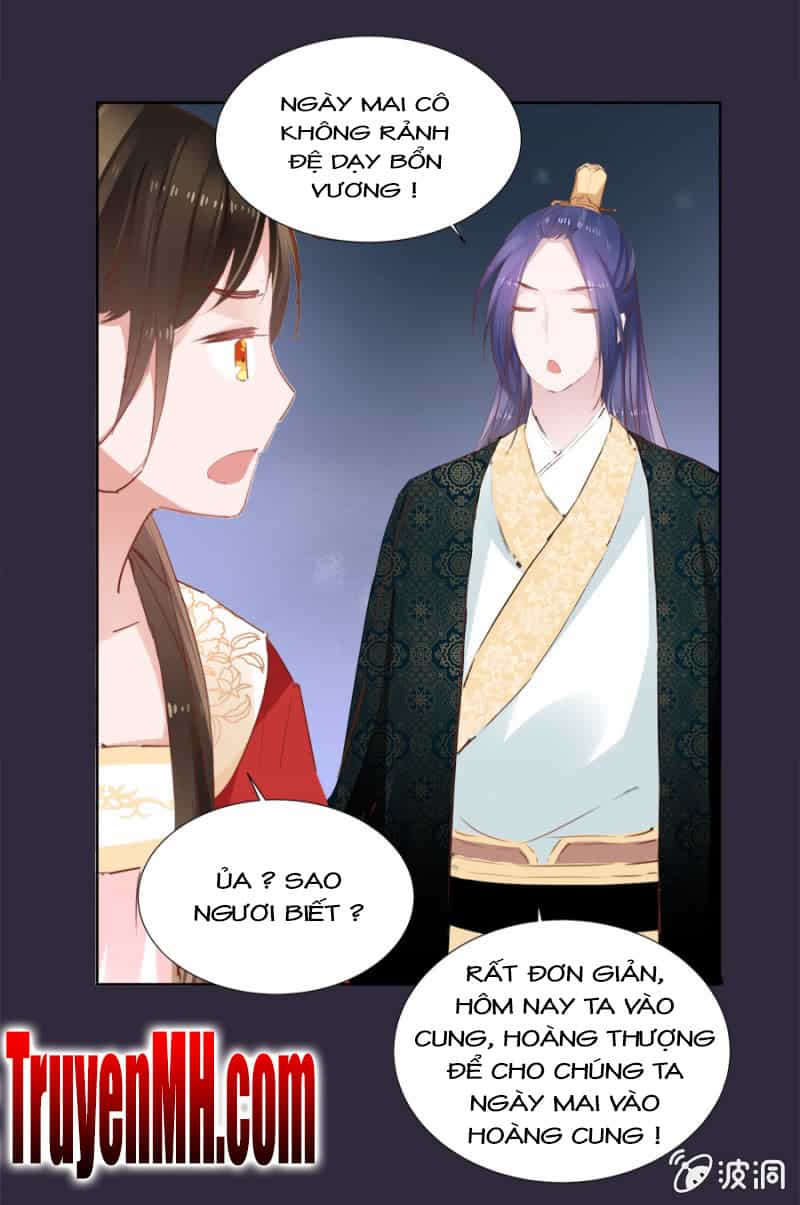 Solo Đi Vương Gia - Chương 40 - ảnh 7