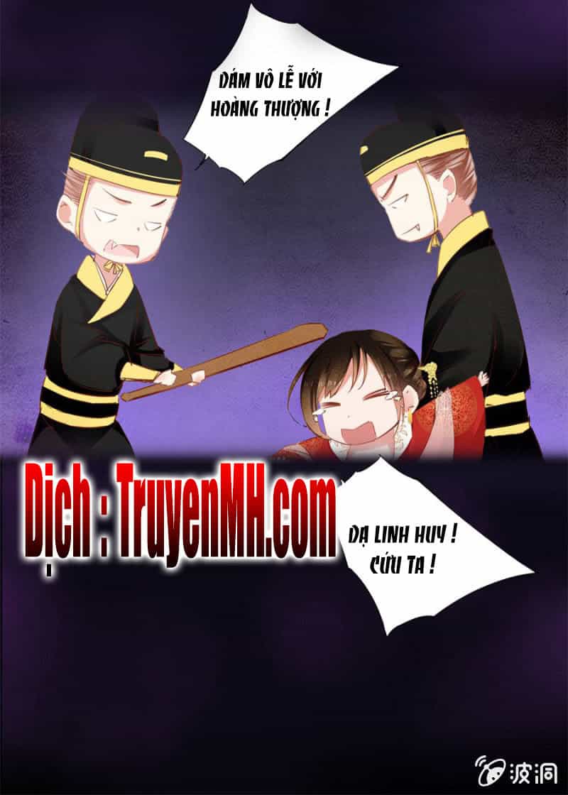 Solo Đi Vương Gia - Chương 41 - ảnh 8