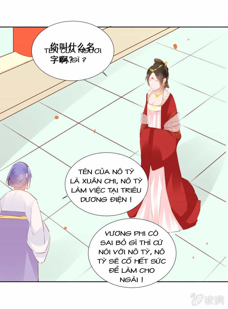 Solo Đi Vương Gia - Chương 44 - ảnh 10