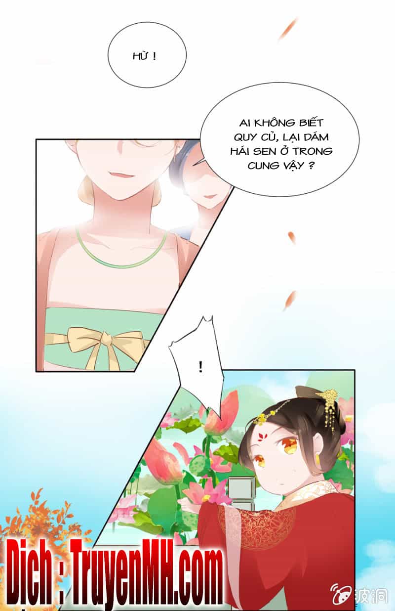 Solo Đi Vương Gia - Chương 44 - ảnh 16