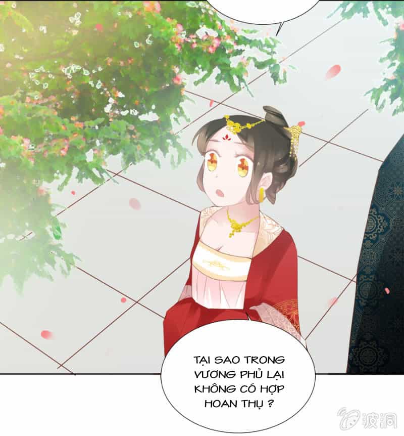Solo Đi Vương Gia - Chương 49 - ảnh 3
