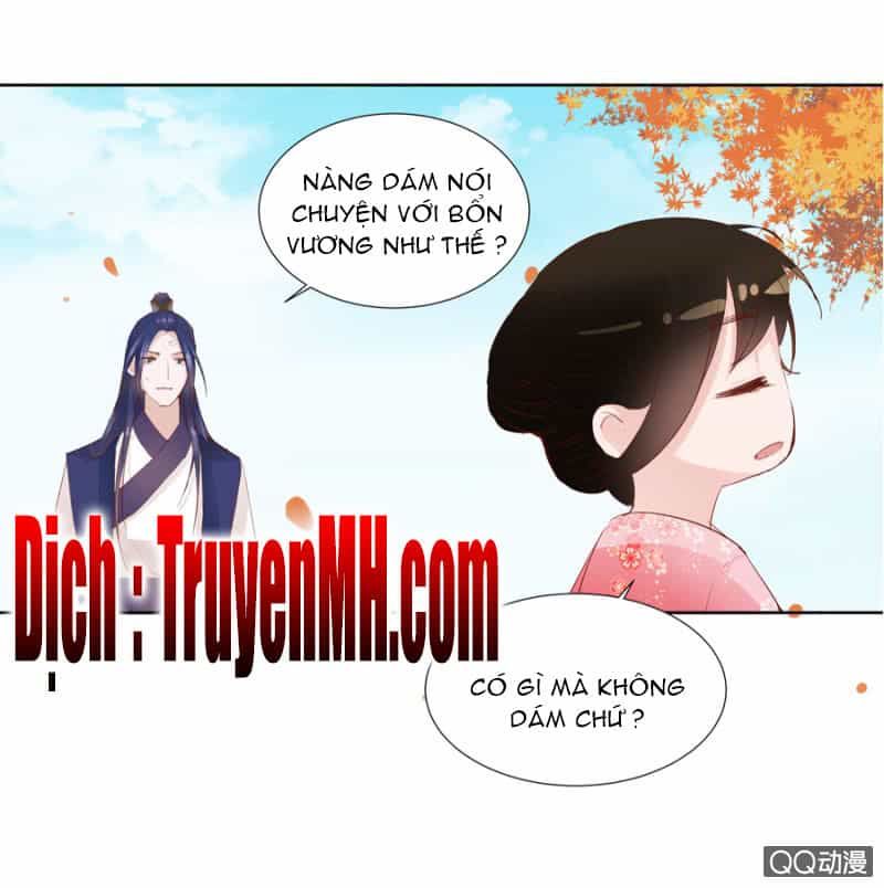 Solo Đi Vương Gia - Chương 6 - ảnh 13