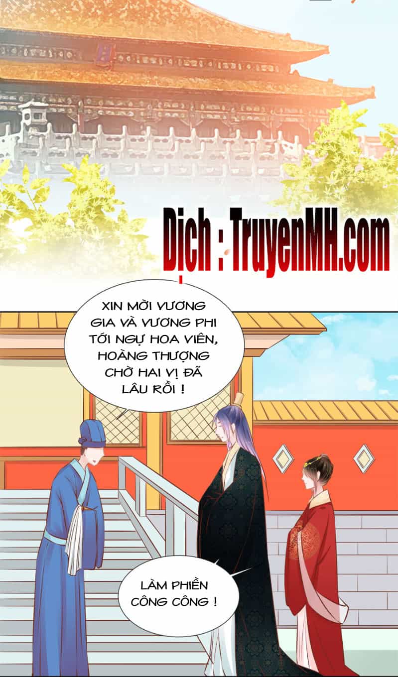 Solo Đi Vương Gia - Chương 70 - ảnh 11