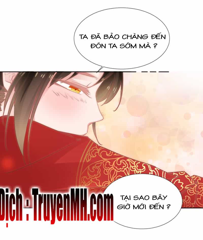 Solo Đi Vương Gia - Chương 74 - ảnh 11