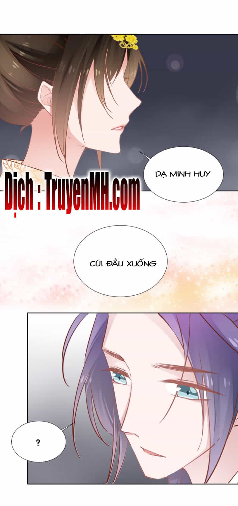 Solo Đi Vương Gia - Chương 74 - ảnh 15