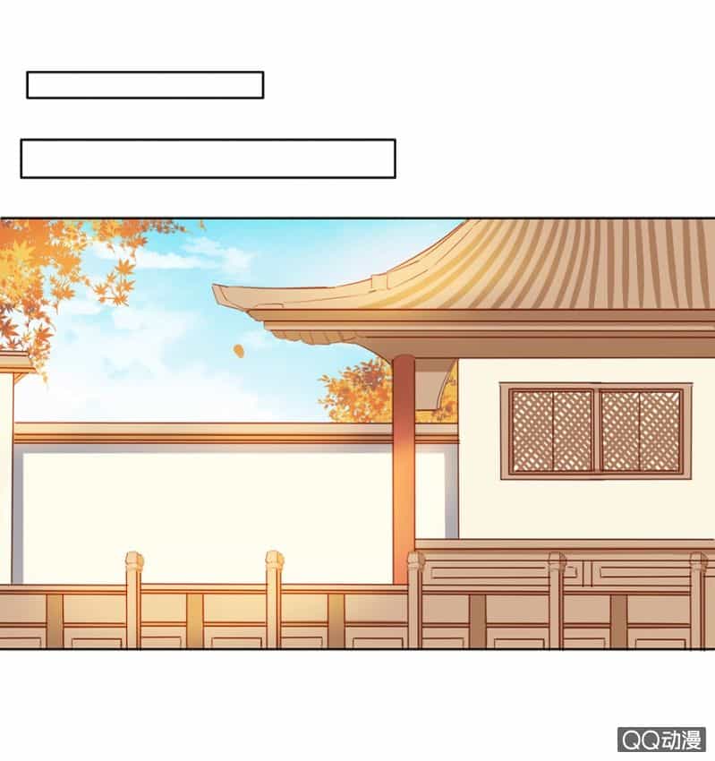 Solo Đi Vương Gia - Chương 8 - ảnh 4