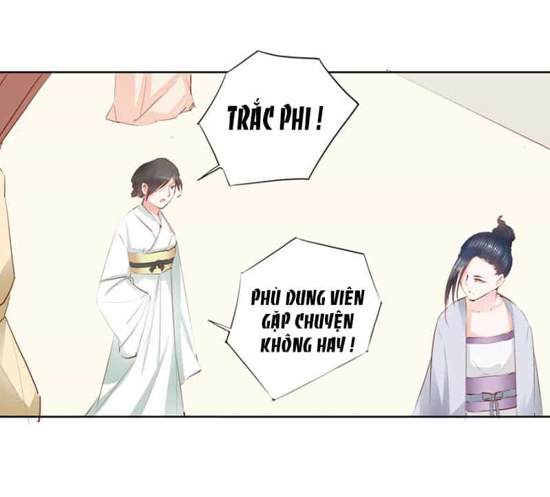 Solo Đi Vương Gia - Chương 8 - ảnh 9