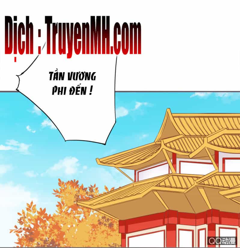 Solo Đi Vương Gia - Chương 81 - ảnh 11