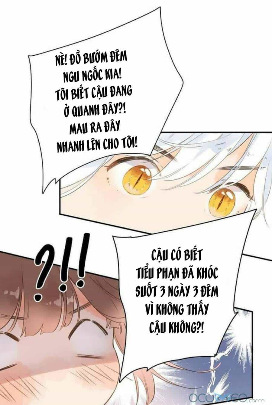 Sos! Tôi Đã Yêu Một Con Sâu Bướm (Phần 2) - Chương 12 - ảnh 14