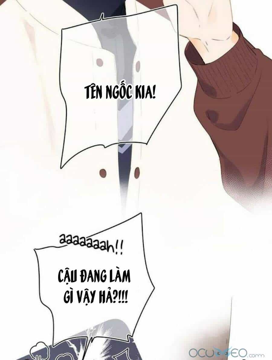 Sos! Tôi Đã Yêu Một Con Sâu Bướm (Phần 2) - Chương 12 - ảnh 16