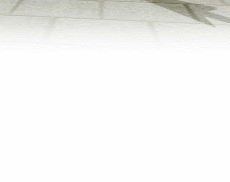 Sự Chuyển Sinh Vào Võ Lâm Thế Gia Của Ranker - Chương 51 - ảnh 5
