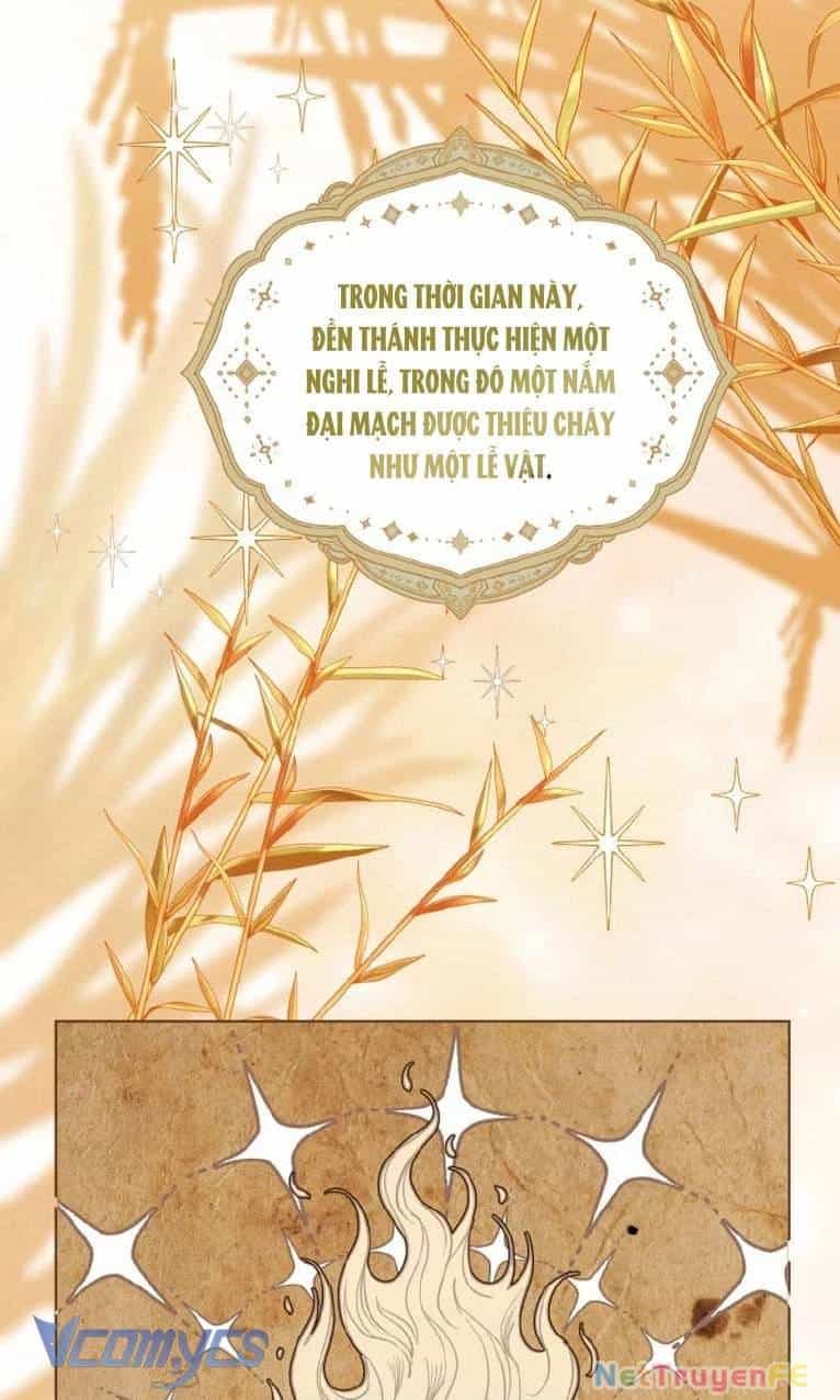 Sự Điều Trị Đặc Biệt Của Tinh Linh - Chương 84 - ảnh 47