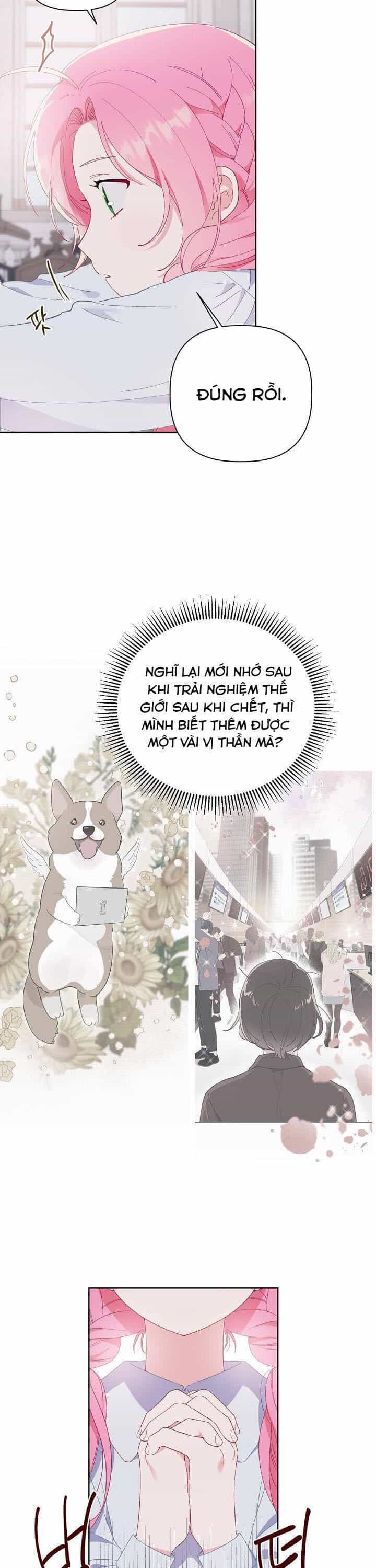Sự Điều Trị Đặc Biệt Của Tinh Linh - Chương 8.5 - ảnh 3
