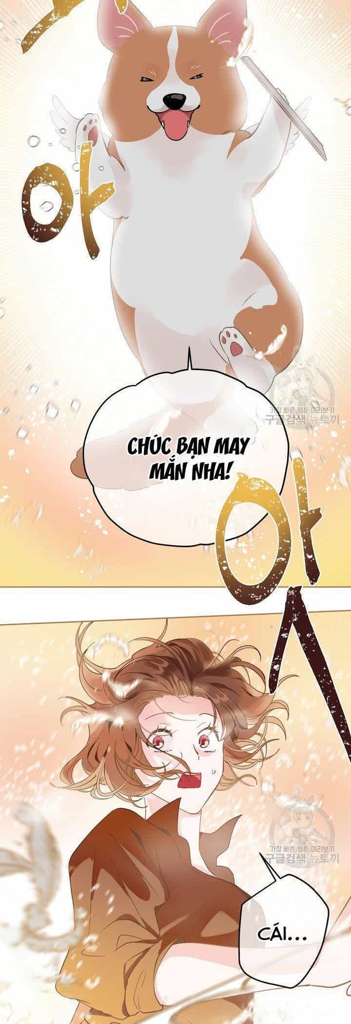 Sự Điều Trị Đặc Biệt Của Tinh Linh - Chương 1.5 - ảnh 14