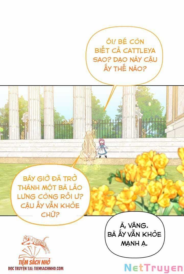 Sự Điều Trị Đặc Biệt Của Tinh Linh - Chương 32 - ảnh 9