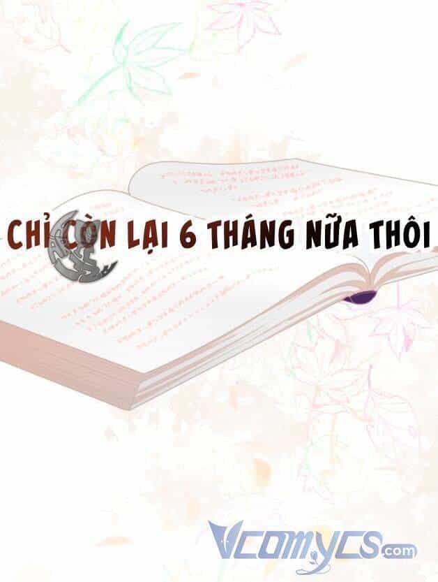 Sự Điều Trị Đặc Biệt Của Tinh Linh - Chương 50 - ảnh 73