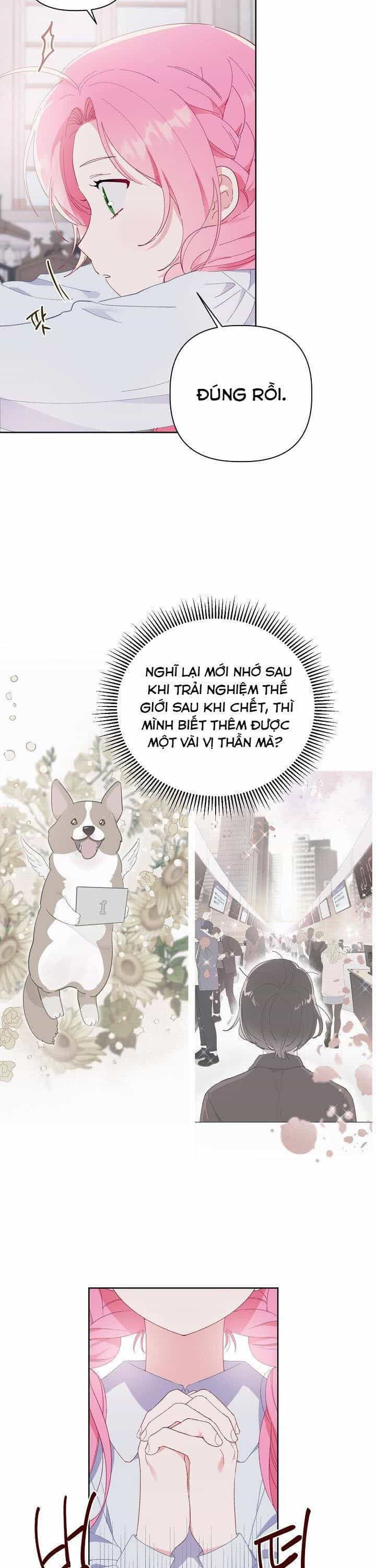 Sự Điều Trị Đặc Biệt Của Tinh Linh - Chương 8.5 - ảnh 3
