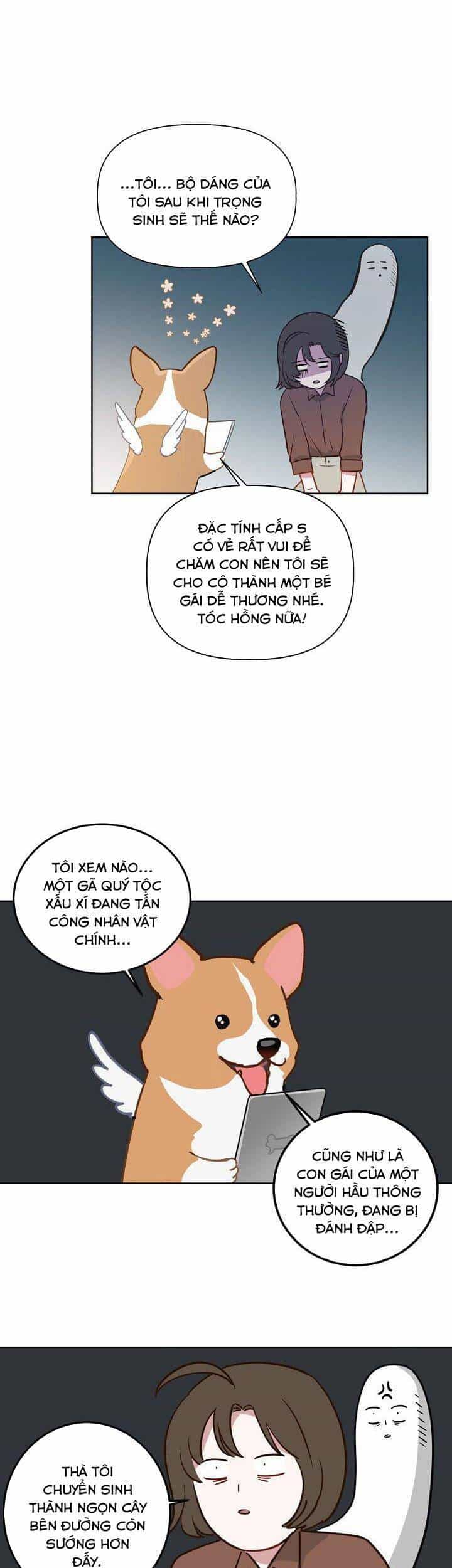 Sự Điều Trị Đặc Biệt Của Tinh Linh - Chương 1 - ảnh 36