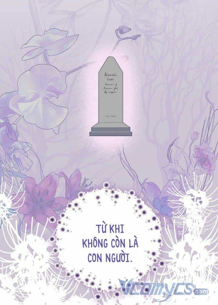 Sự Điều Trị Đặc Biệt Của Tinh Linh - Chương 16 - ảnh 61