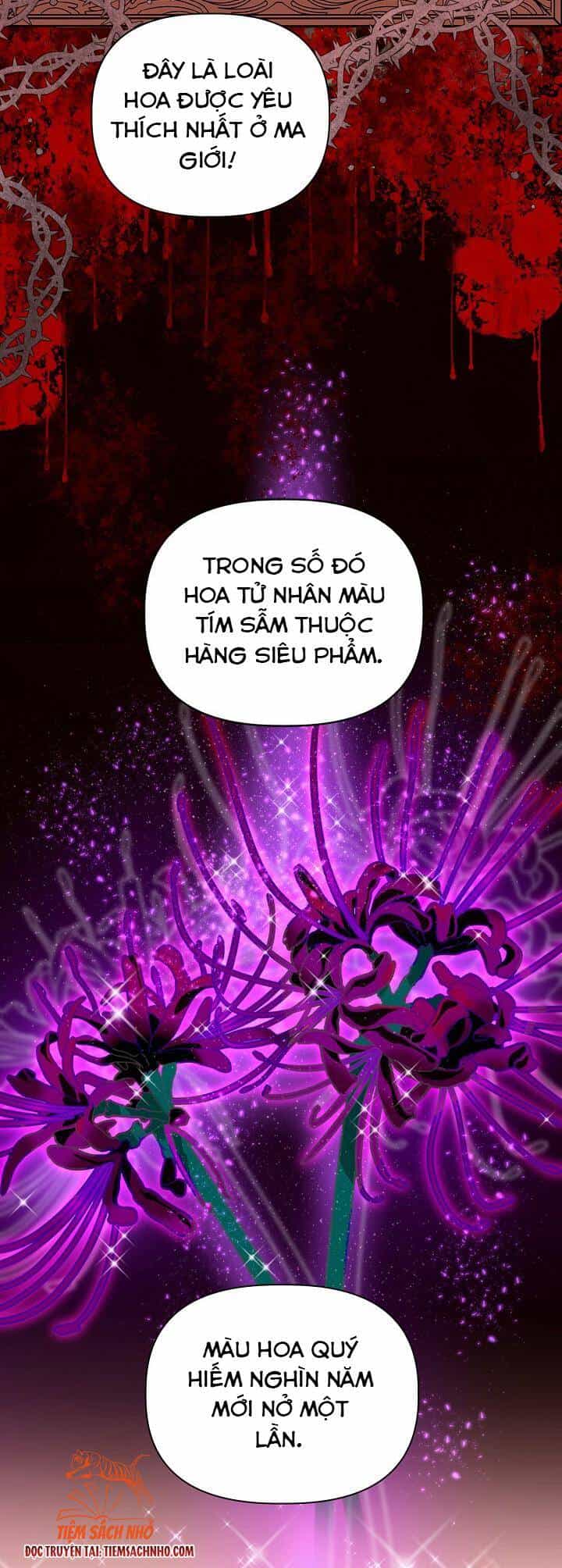 Sự Điều Trị Đặc Biệt Của Tinh Linh - Chương 26 - ảnh 35