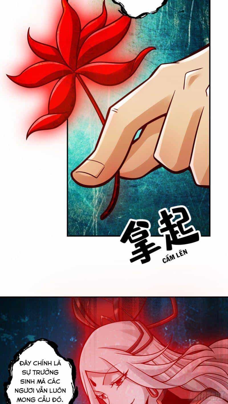 Sư Huynh Của Ta Quá Cẩn Thận Rồi - Chương 113 - ảnh 6