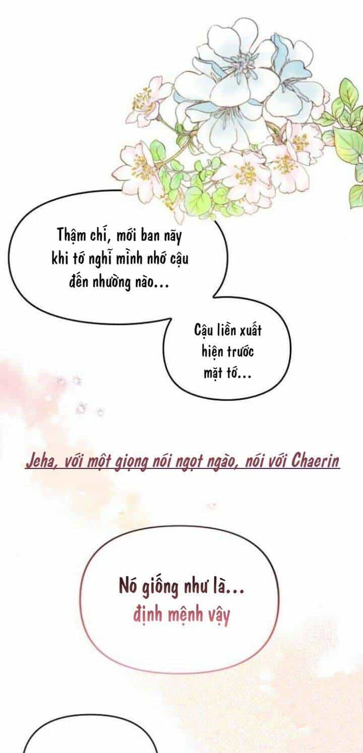 Sự Lãng Mạn Còn Tồn Tại - Chương 47 - ảnh 23