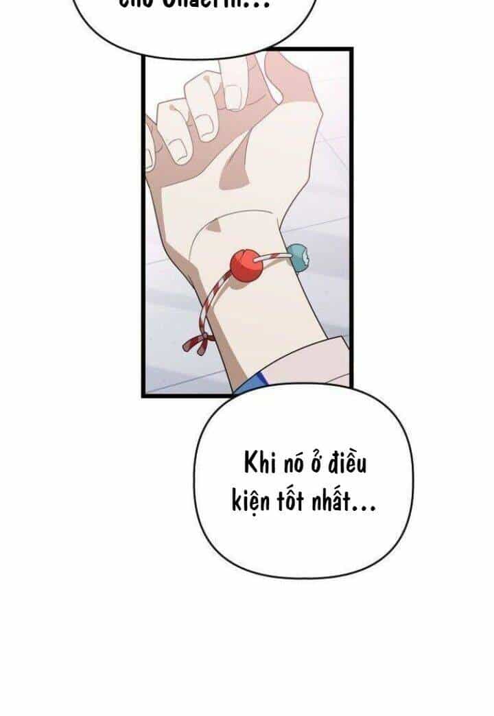 Sự Lãng Mạn Còn Tồn Tại - Chương 50 - ảnh 7